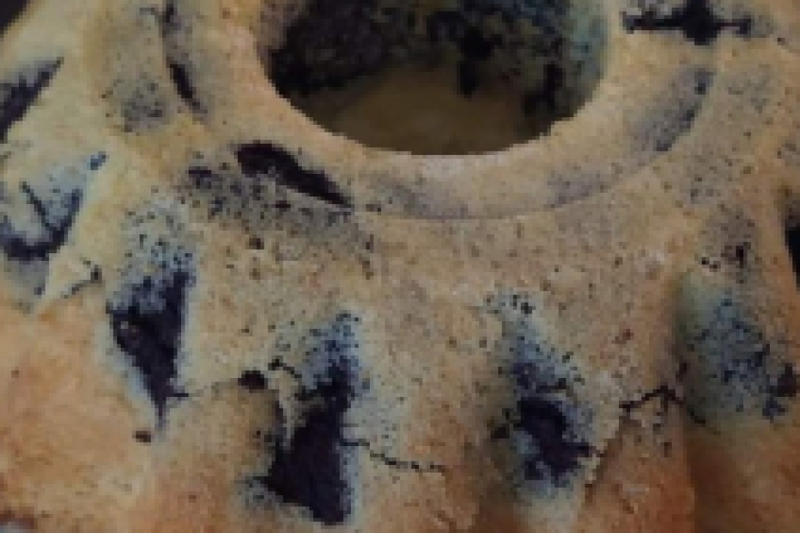 Babka dwukolorowa